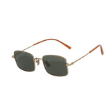 opticity sunglasses